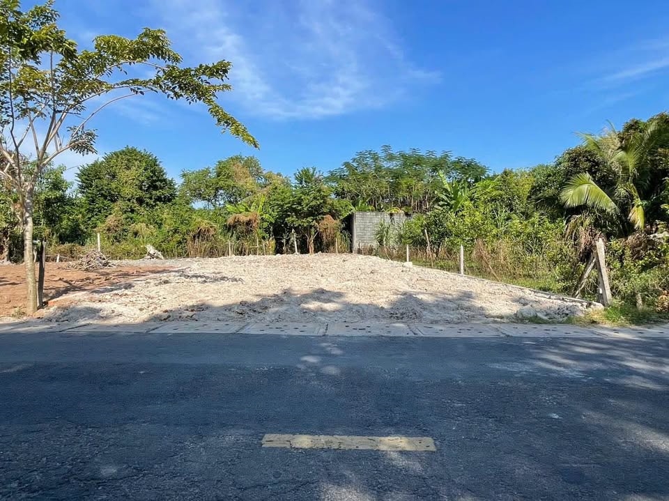 Bán lô đất 10x40 Nguyễn Văn Khạ, Củ Chi 400m² - Giá chỉ 1.55 tỷ, thương lượng nhẹ!