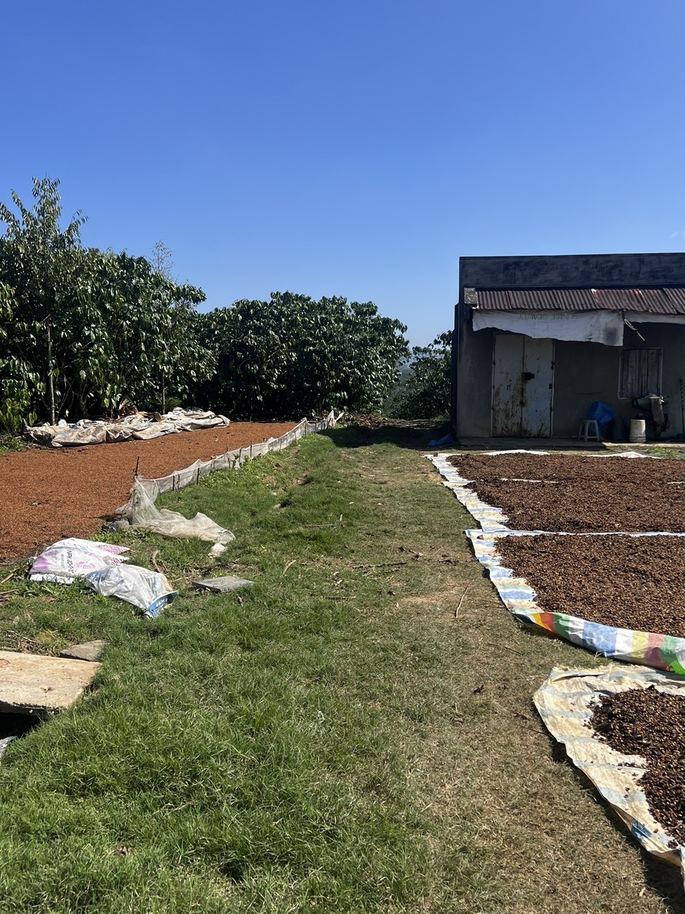 Đất vườn cafe 1,4ha tại Bảo Lộc, Lâm Đồng - Giá chỉ 7.28 tỷ