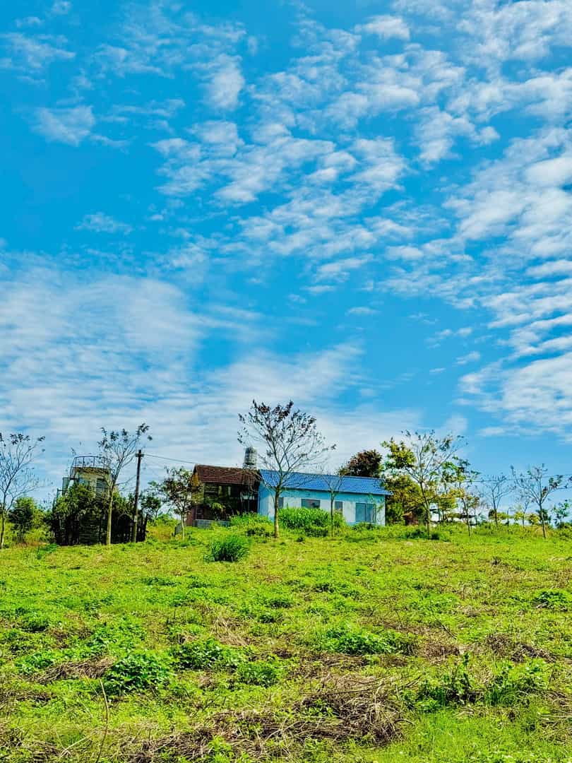 Lô đất mặt tiền Bảo Lộc 130m² giá 1.55 tỷ - Cơ hội đầu tư bền vững!