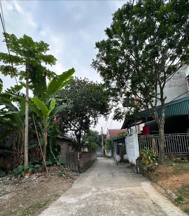 Đất Băng 2 Nguyễn Du, Vĩnh Yên 117m² giá 2 tỷ - Đầu tư sinh lời ngay!