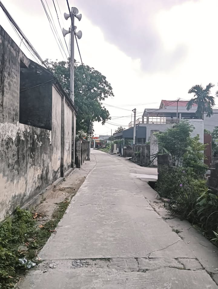 Đất nền lô góc Chương Dương Thường Tín 65m² giá 3.15 tỷ - Đầu tư sinh lời hiệu quả!