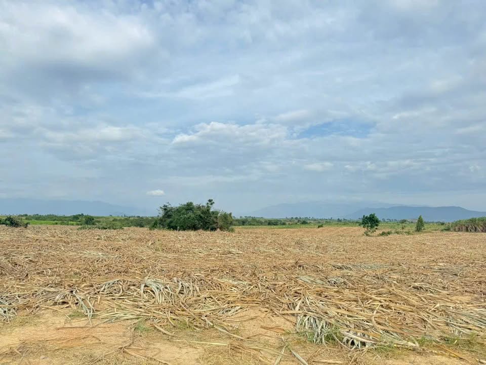 Đất nền xã Ninh Sơn, Khánh Hòa 1000m² chỉ 120 triệu - Cơ hội đầu tư hấp dẫn!