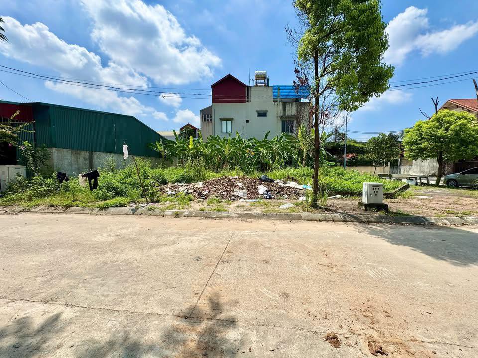 Đất đấu giá 80m² Phúc Thịnh, Đông Anh - Vị trí đẹp, hạ tầng đồng bộ!