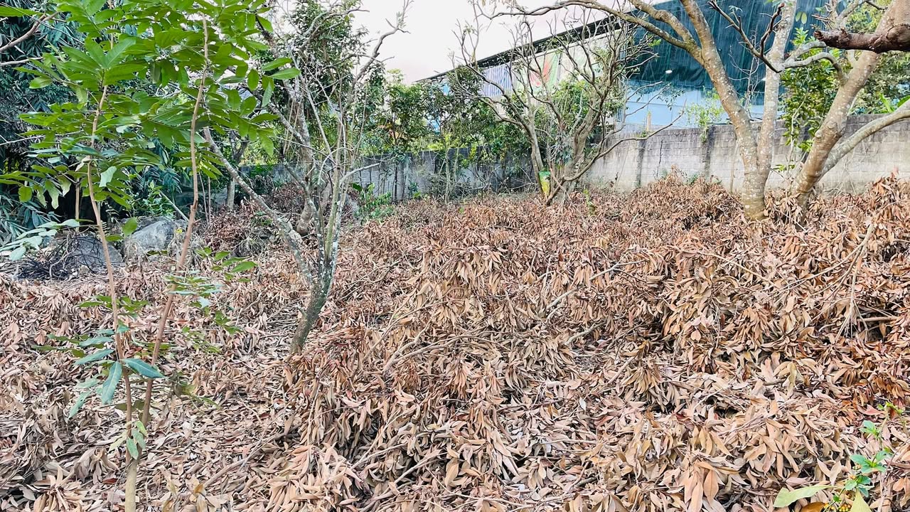 Đất mặt tiền 15m tại Vân Sơn, Mộc Châu 645m² - Giá cả thỏa thuận hấp dẫn!