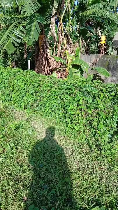 Đất vườn Tịnh Phong 438m² giá 1.3 tỷ - Cơ hội đầu tư lý tưởng!