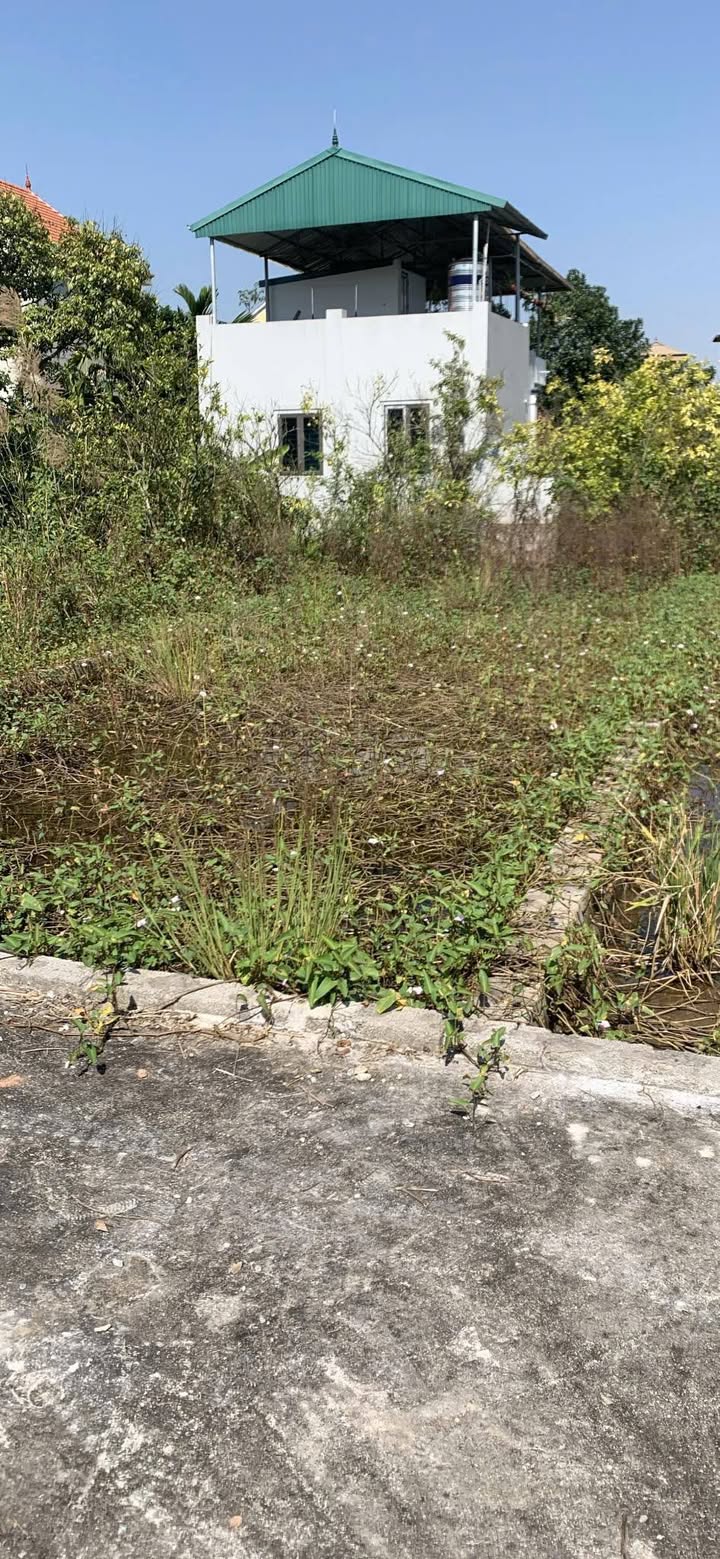 Đất nền chính chủ 80m² tại Chương Lộc - Thường Tín - Giá thỏa thuận, ô tô vào nhà!