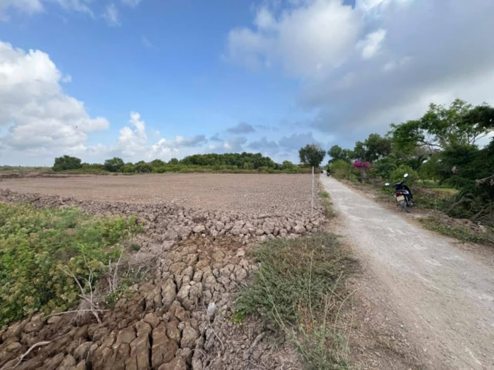 Đất nền khu Chòm Xoài, phường Nhà Mát, 5265m² giá 52 triệu - Đầu tư sinh lời ngay!