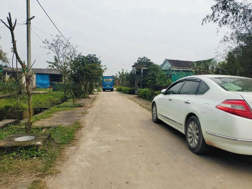 Đất thổ cư Tân Lâm Hương - 246m² - Đường ô tô, vị trí đẹp phù hợp đầu tư