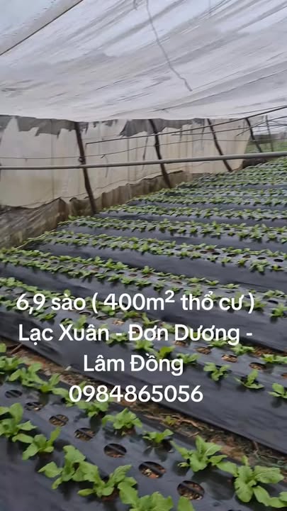 Đất nền Lạc Xuân Đơn Dương 6,9 sào giá 4,3 tỷ - Thế đất cao ráo, vuông vức