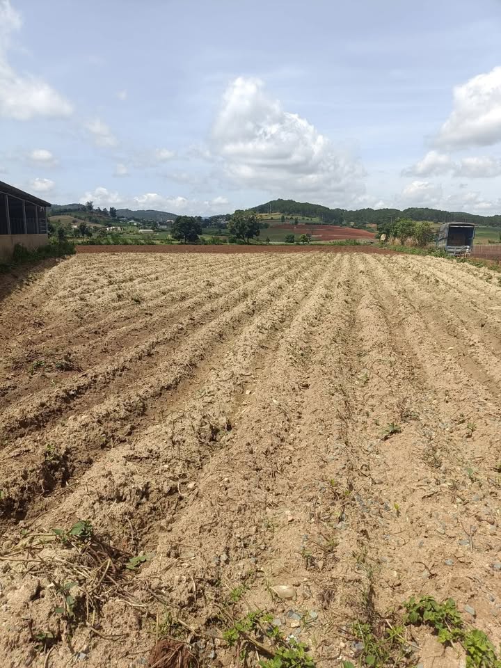 Đất sào Ka Đơn - Đơn Dương - Lâm Đồng 6800m² giá 3.4 tỷ - Đầu tư sinh lời ngay!