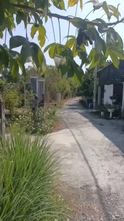 Đất 3 Mặt Tiền Xã Phú Hòa Đông Củ Chi 4749m² - Đầu Tư Phân Lô Tiềm Năng!