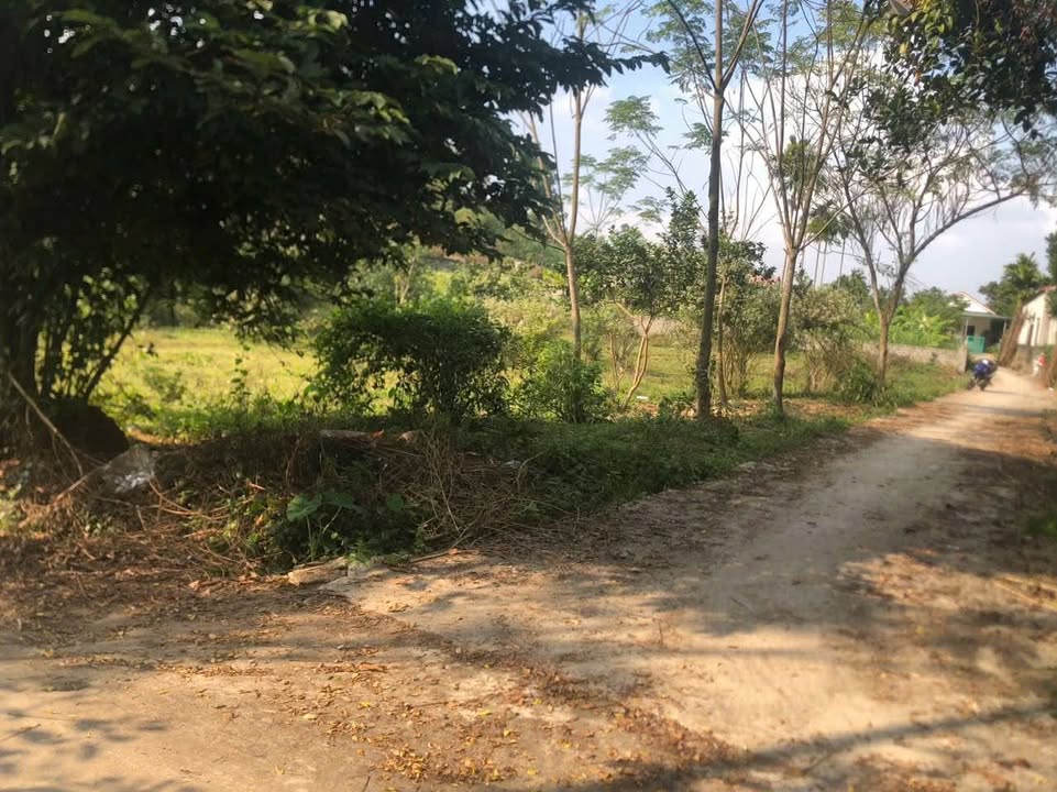 Đất thổ cư 800m² tại xã Yên Sơn, Đô Lương - 2 mặt tiền, giá 2.4 tỷ!