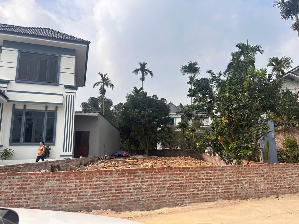 Đất nền 439m² thôn Xoan, Ba Vì chỉ 3.1 tỷ - Sổ đỏ chính chủ