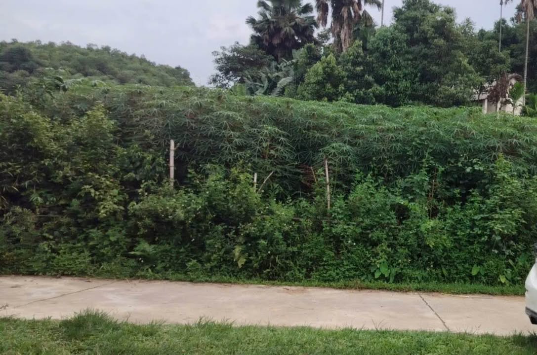 Đất nền phường Văn Phú Lào Cai 227.9m² giá 600 triệu - Cơ hội đầu tư hấp dẫn!