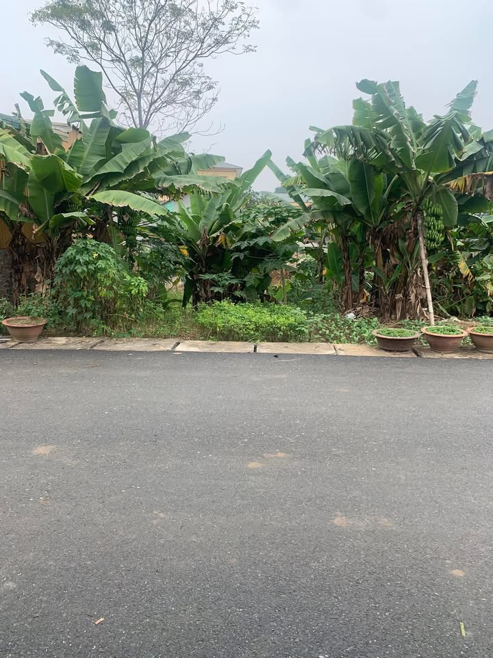 Đất nền Cẩm Khê Phú Thọ 335.6m² giá 5 tỷ - Tiềm năng kinh doanh lớn!