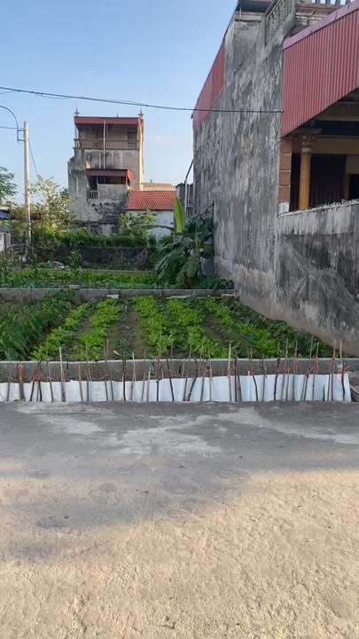 Đất lô góc 2 mặt tiền Nguyễn Văn Linh, Hưng Yên 71.5m² - Cơ hội đầu tư tuyệt vời!