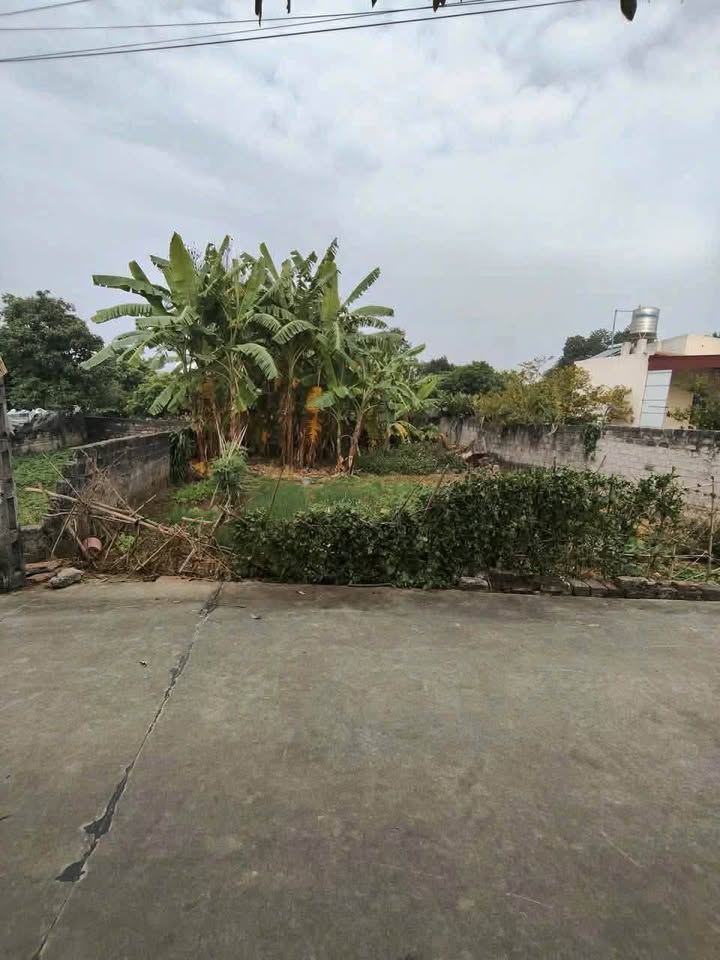 Đất nền Chí Minh, Chí Linh, 96m² giá 1.2 tỷ - Mặt tiền 5m, đường rộng 7m thuận tiện!