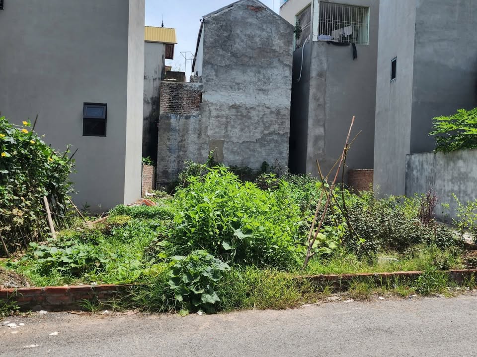 Đất nền Yên Nghĩa Hà Đông 40m² - Đầu tư sinh lời tiềm năng!