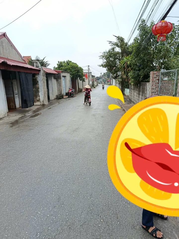 Đất mặt đường Kim Trâm, xã Mỹ Đức, 137m² giá chỉ 2.75 tỷ - Cơ hội đầu tư hấp dẫn!