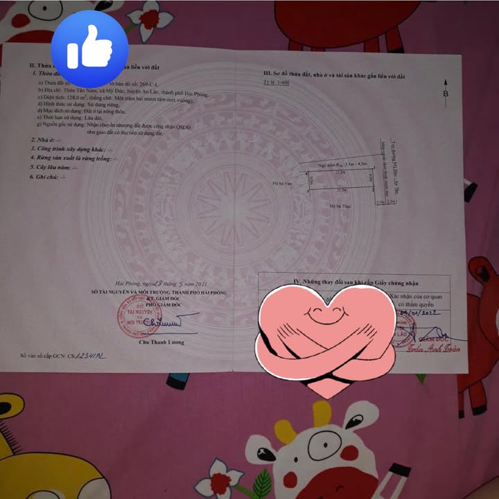 Đất nền Mỹ Đức An Lão 128m² giá đầu tư - Cơ hội không thể bỏ lỡ!