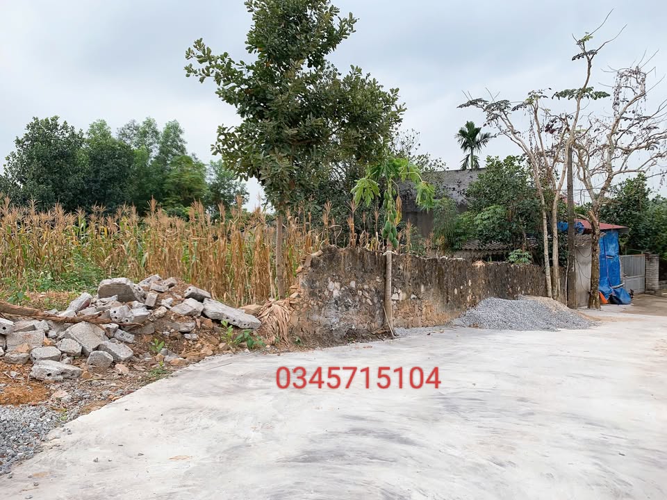 Đất nền Lục Nam 220m² giá 9XX - Vị trí đẹp, pháp lý rõ ràng!