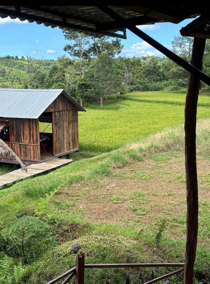 Đất nông nghiệp 1400m² tại Ia Dêr, Gia Lai - Pháp lý rõ ràng, giá chỉ 1.4 tỷ!