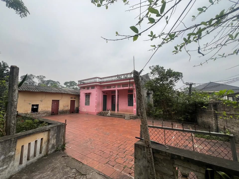 Mảnh vườn 1400m² tại Tam Hiệp, Yên Thế - Giá thỏa thuận hấp dẫn!