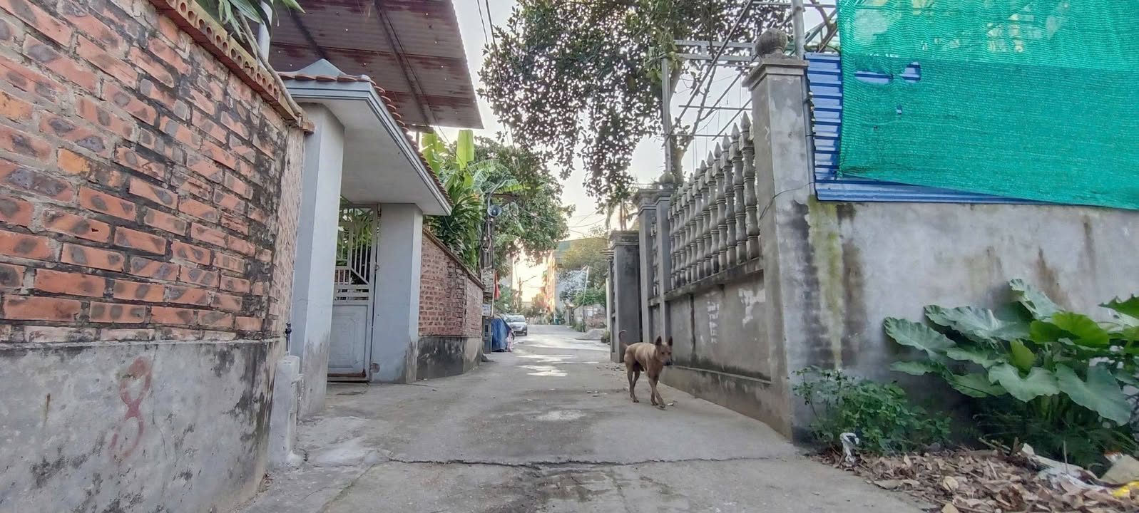 Đất Bồ Sơn Núi - Võ Cường, Bắc Ninh 85m² giá 3 tỷ - Đường ô tô thông thoáng!