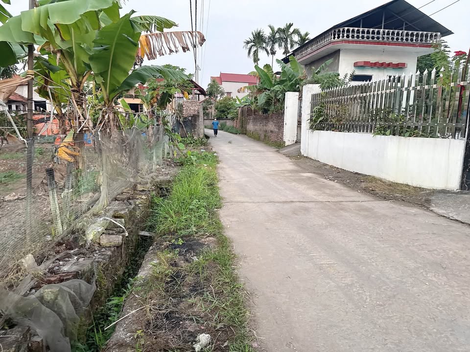 Đất 2 mặt tiền thôn Ích Phú, xã Đại Lai, 150m² giá 2.1 tỷ - Cơ hội đầu tư hiếm có!