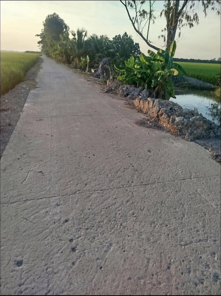 Đất nông nghiệp 54,000m² tại Mỹ Quý, Tháp Mười - Giá 5.29 tỷ, thương lượng tốt!