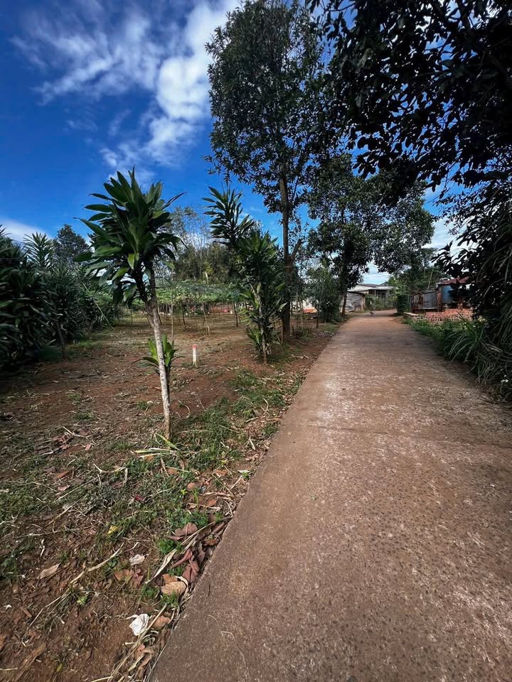 Đất nền An Phú Pleiku 270m² giá tốt - Cơ hội đầu tư không thể bỏ lỡ!