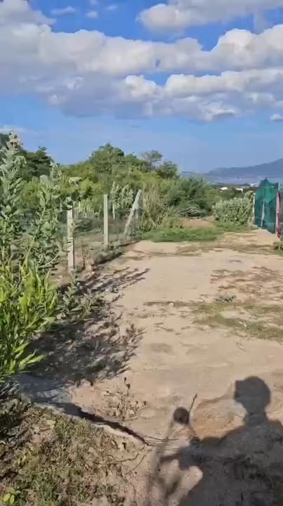 Đất liền kề Cây Lâu Năm Lộc An Cam Ranh 214,7m² giá 850 triệu - Cơ hội đầu tư tuyệt vời!