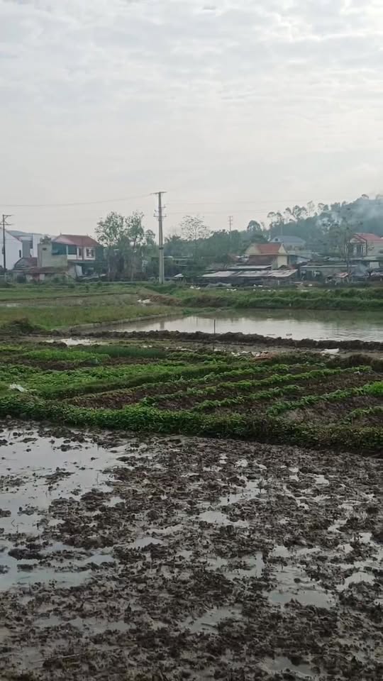 Đất nền 180m² tại phường Quỳnh Xuân, Hoàng Mai - Vị trí đẹp, đắc địa!