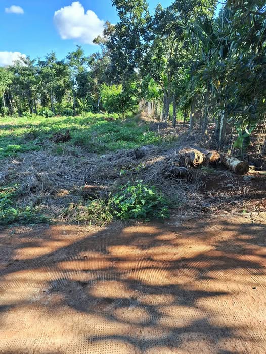 Đất nền Đức Mạnh Đắk Mil 138m² giá 530 triệu - Đầu tư sinh lời ngay!