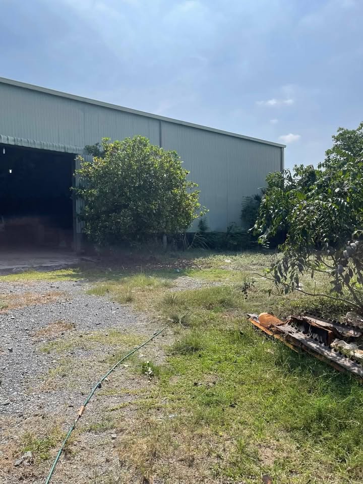 Xưởng 1892m² mặt tiền đường Bàu Sen - Giá chỉ 16 tỷ, hỗ trợ ngân hàng!