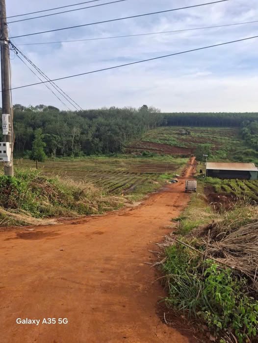 Đất nền Tân Lợi Hớn Quản 1ha giá 1.6 tỷ - Tiềm năng sinh lời cao!