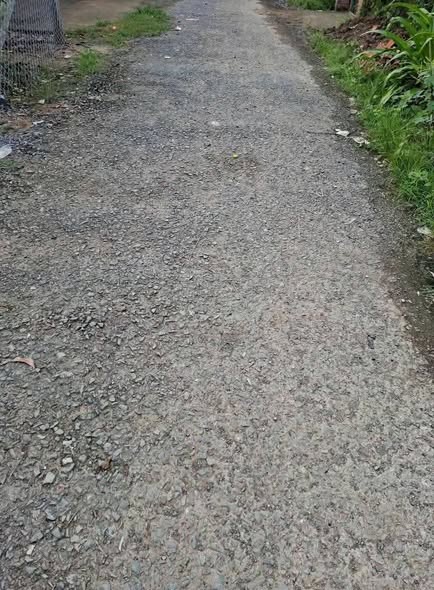 Đất thổ cư Hòa Nghĩa, Chợ Lách 1010m² giá 900 triệu - Đầu tư sinh lời ngay!