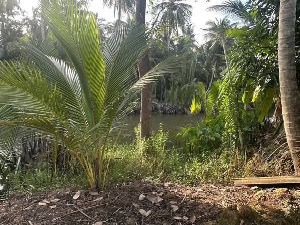 Đất nền Phú Sơn, Chợ Lách 3500m² giá 1.35 tỷ - Đầu tư sinh lời tuyệt vời!