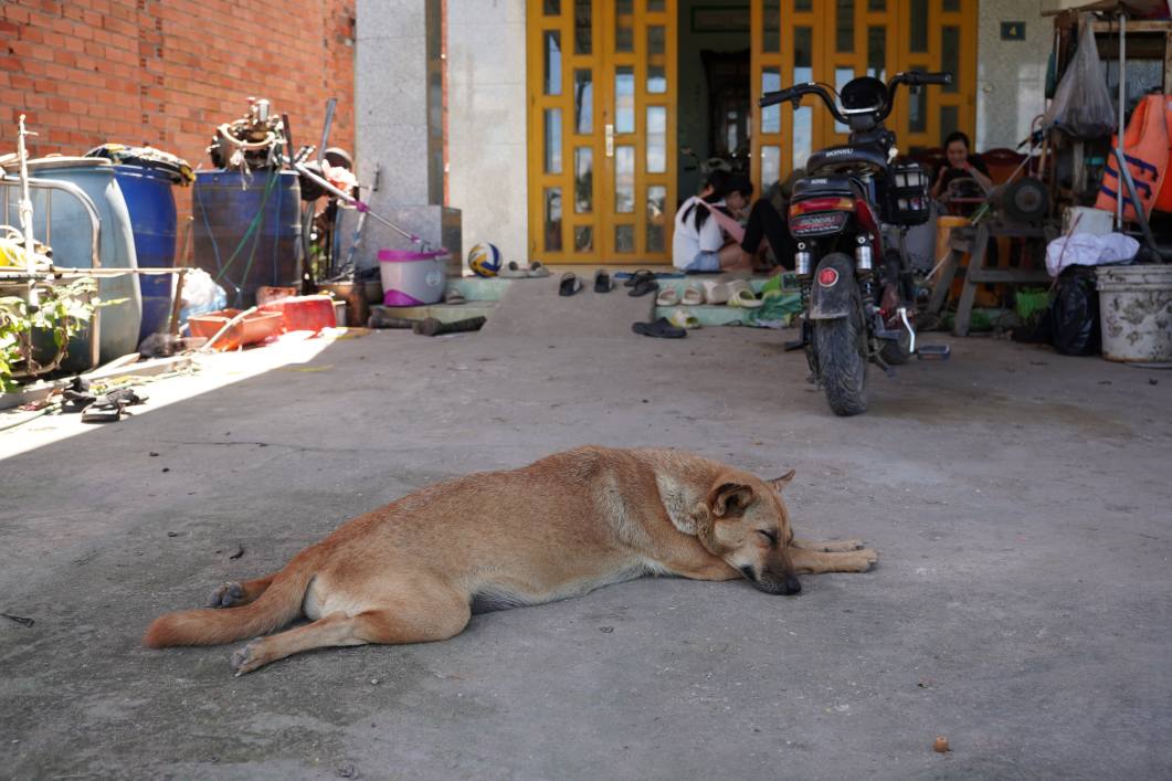 Đất nền Suối Đá Dương Minh Châu 50m² giá 269 triệu - Đầu tư sinh lời ngay!