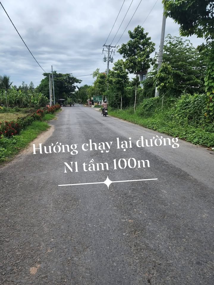 Đất nền mặt tiền Lộ Sau Sông Tiền, Tân Châu, An Giang 256m² - Tiềm năng đầu tư lớn!