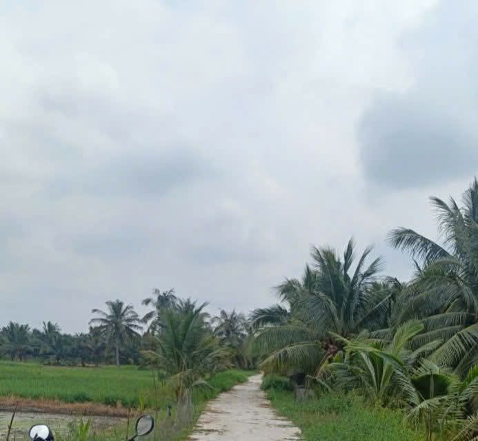 Đất Mỹ Chánh, Ba Tri 22000m² giá 580 triệu - Cơ hội đầu tư tuyệt vời!