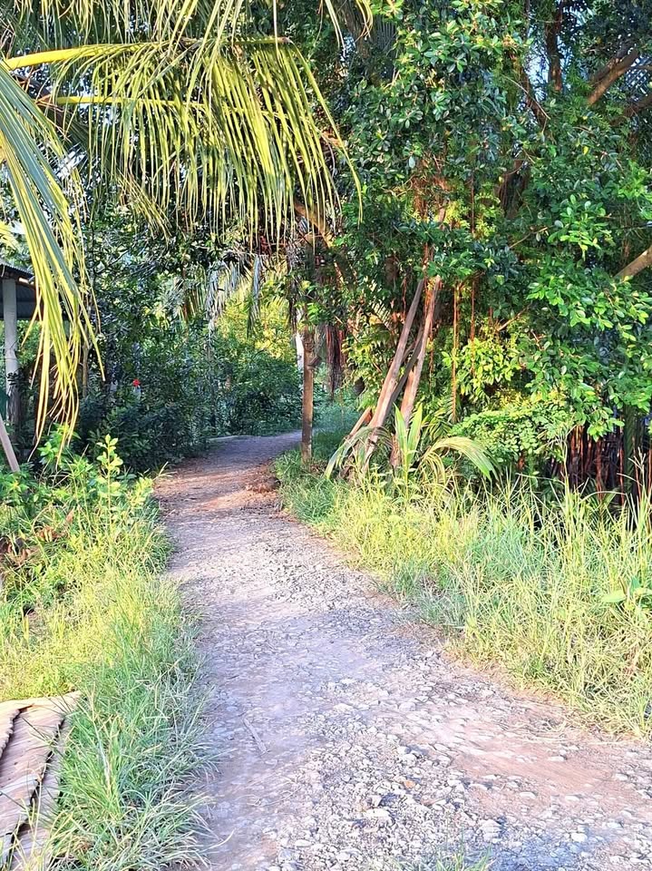 Đất nền Thành Thới B, Mỏ Cày Nam 533m² giá 400 triệu - Sổ đỏ chính chủ!