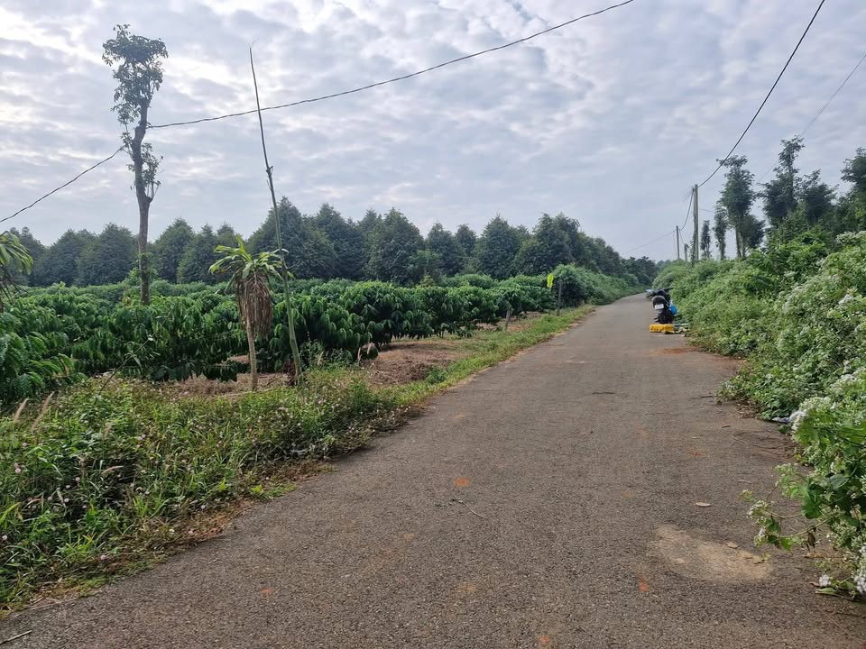 Đất Nghĩa Thành, Châu Đức 2200m² giá 2.65 tỷ - Mặt tiền nhựa thông thoáng!