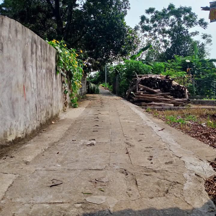 Đất nền Thanh Mỹ Sơn Tây 100.8m² giá 900 triệu - Sổ đỏ chính chủ, vào ở ngay!