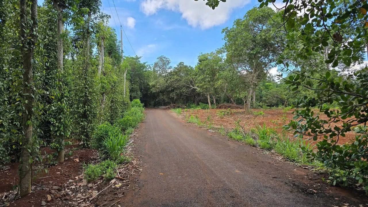 Đất mặt tiền Bờ Hồ Sông Ray Bàu Lâm 5.134m² giá 7 tỷ - Đầu tư sinh lời tiềm năng!