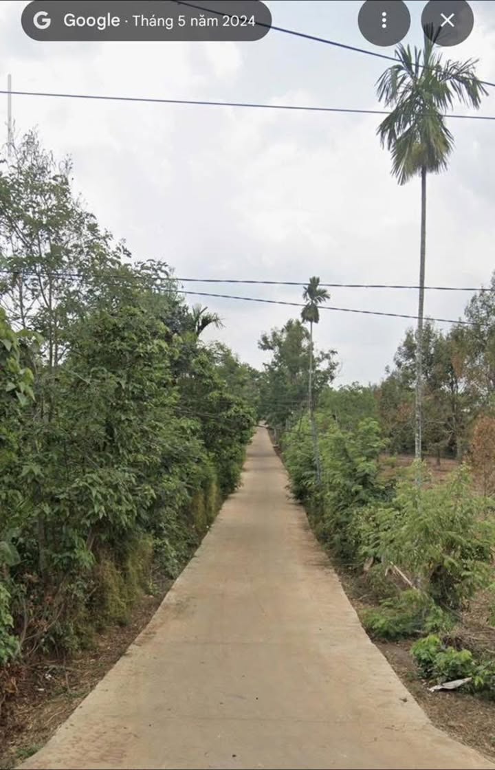 Đất thổ cư đường bê tông thôn 86 Ea Tiêu 200m² giá 50 triệu/m - Cơ hội đầu tư tuyệt vời!