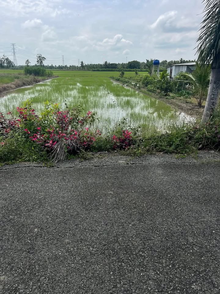 Đất nền Long Đức, Long Phú 640m² giá 600 triệu - Đầu tư sinh lời ngay!