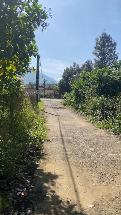 Đất thổ cư Đam Ri 680m² giá 2.1 tỷ - Vị trí đẹp ngay trung tâm!