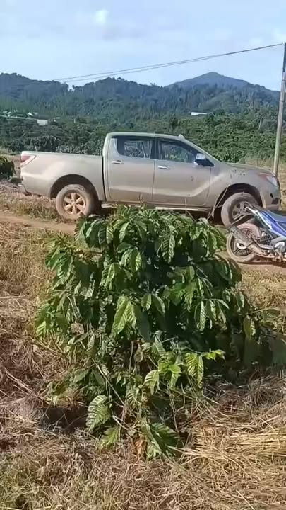 Đất Tân Thanh Lâm Hà 10.000m² giá 2.2 tỷ - Cơ hội đầu tư hấp dẫn!