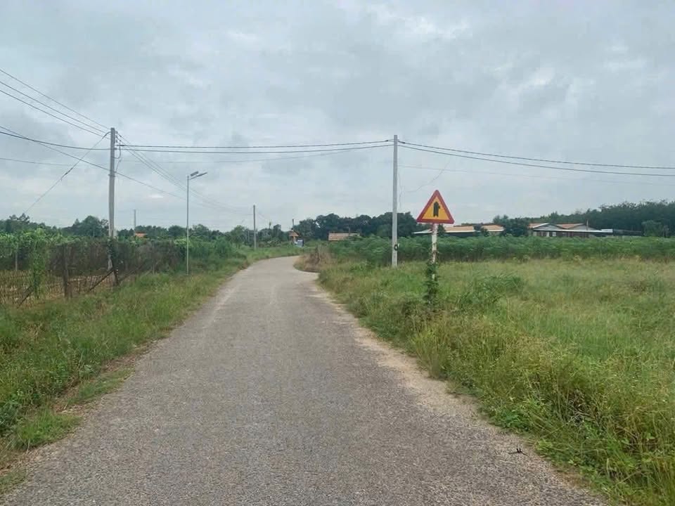 Đất mặt tiền sỏi đỏ Định An Dầu Tiếng 240m² - View núi đẹp, giá thỏa thuận!